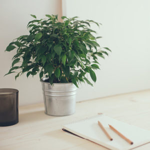 boost your business' productivity